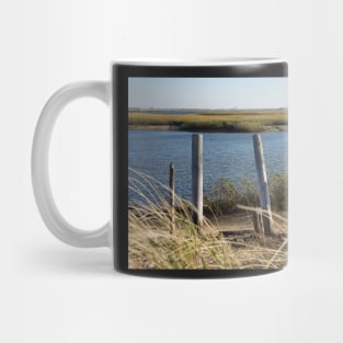 poles in the sand Mug